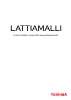 PDF-esikatselu: LATTIAMALLI (14.6 MB)